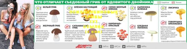 сатива Мегион