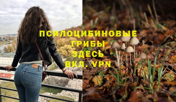apvp Магас