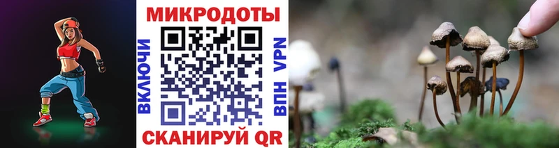 Купить закладки  Киреевск  Галлюциногенные грибы Magic Shrooms 
